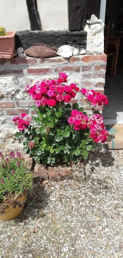 Le Clos Saint Leger Anxtot Luaran gambar
